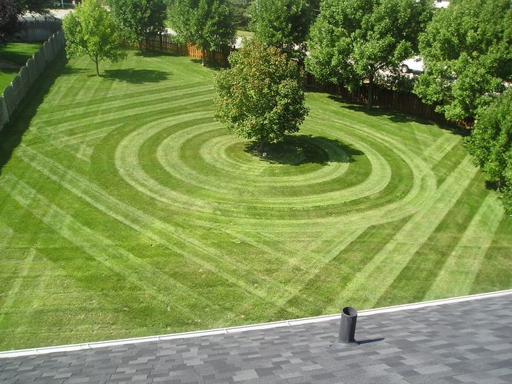 best lawn